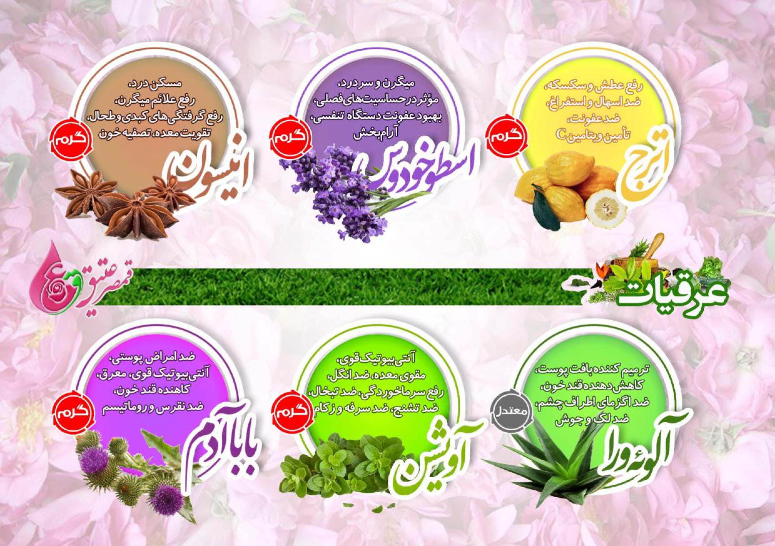 خرید عرقیات قمصر کاشان